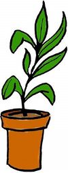 Place value system - plant.jpg