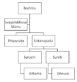 Dhruva lineage.PNG