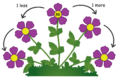 Place value system - Number Flowers 1.png