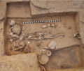 Rakhigarhi skeleton I6113.png