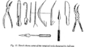 Sushruta's Surgical Tools Made of Iron.PNG