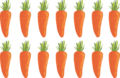 Number Knowledge - CARROT.png