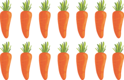 Number Knowledge - CARROT.png