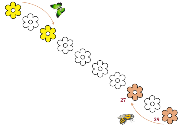 Number knowledge- Butterfly bees and flowers.png